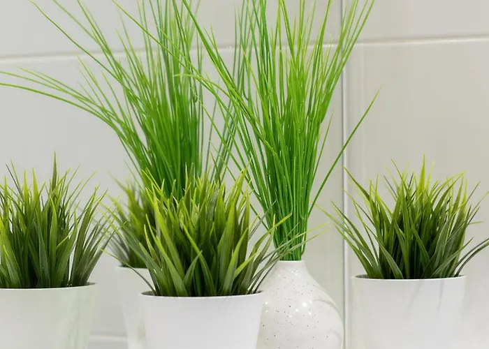 Baltic Blue Gardenia D&d Dziwnów